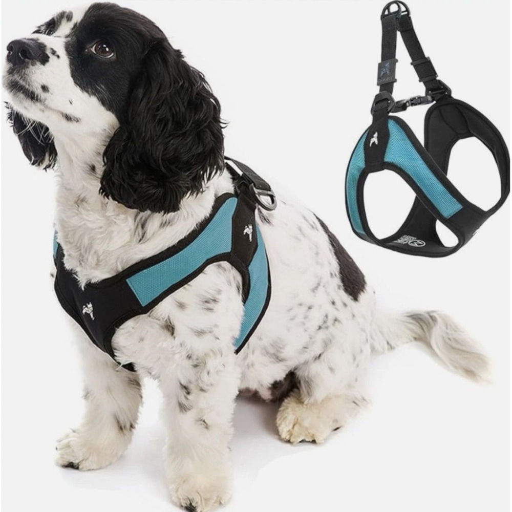 No-Pull Dog Harness - Gooby Escape Free,‎ Easy Fit Harness, Turquoise, Large USA